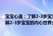 宝宝心语：了解2-3岁宝宝的内心世界（关于宝宝心语：了解2-3岁宝宝的内心世界介绍）