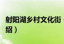 射阳湖乡村文化街（关于射阳湖乡村文化街介绍）