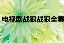 电视剧战狼战狼全集在线播放（电视剧战狼）