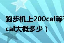 跑步机上200cal等于吃多少（跑步机上的200cal大概多少）