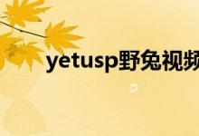 yetusp野兔视频（夹野兔看路技术）