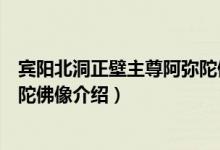 宾阳北洞正壁主尊阿弥陀佛像（关于宾阳北洞正壁主尊阿弥陀佛像介绍）