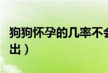 狗狗怀孕的几率不会改变（狗交配为什么拔不出）