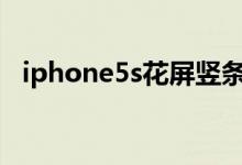 iphone5s花屏竖条失灵需要换屏幕总成吗