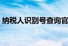 纳税人识别号查询官网（纳税人识别码查询）