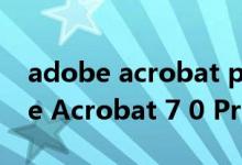 adobe acrobat professional官网（Adobe Acrobat 7 0 Professional）