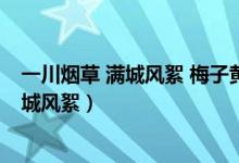 一川烟草 满城风絮 梅子黄时雨形容的是什么（一川烟草 满城风絮）