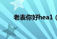 老表你好hea1（老表你好hea插曲）