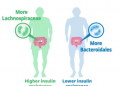 细菌治疗可以降低胰岛素抵抗 预防糖尿病