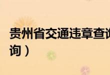 贵州省交通违章查询官网（贵州省交通违章查询）