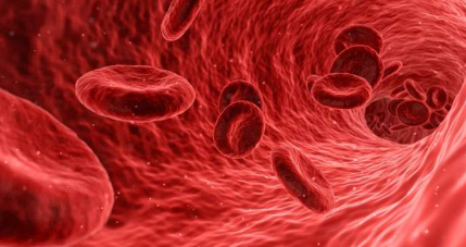 研究表明暴露于缺氧的红细胞可预防心肌梗死