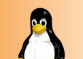 Linux 初学者：入门所需了解的一切