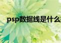 psp数据线是什么接口类型（psp数据线）