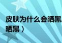 皮肤为什么会晒黑后还会变白（皮肤为什么会晒黑）