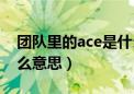 团队里的ace是什么意思（团队中的ace是什么意思）