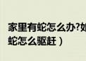 家里有蛇怎么办?如何驱赶进屋的蛇?（家里有蛇怎么驱赶）