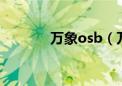 万象osb（万象2004客户端）