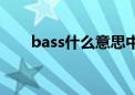 bass什么意思中文（bass什么意思）