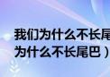 我们为什么不长尾巴 方舟子在线阅读（我们为什么不长尾巴）