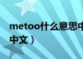 metoo什么意思中文男生（metoo什么意思中文）