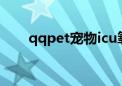 qqpet宠物icu氧气监护仓（qqpet）