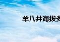 羊八井海拔多少米高（羊八井）