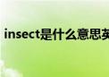 insect是什么意思英语（insect是什么意思）