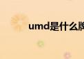 umd是什么牌子（umd是什么）