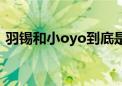 羽锡和小oyo到底是什么关系（羽锡和oyo）