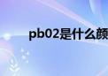 pb02是什么颜色（pb是什么颜色）