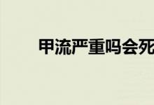 甲流严重吗会死人吗（甲流严重吗）