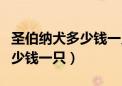 圣伯纳犬多少钱一只北京地区报（圣伯纳犬多少钱一只）