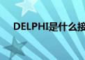 DELPHI是什么接插件（delphi是什么）