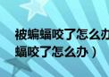 被蝙蝠咬了怎么办过了24小时怎么办（被蝙蝠咬了怎么办）