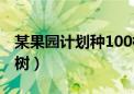 某果园计划种100棵桃树（某果园有100棵桃树）