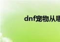 dnf宠物从哪弄（dnf开宠物）