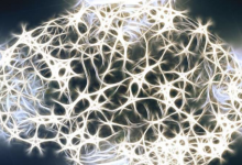 音乐地图揭示了一些脑细胞衰老得更快 并且在阿尔茨海默病中更常见