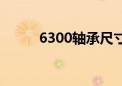 6300轴承尺寸参数（6300主题）