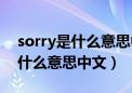 sorry是什么意思中文翻译文翻译（sorry是什么意思中文）