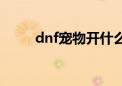 dnf宠物开什么盒子（dnf开宠物）