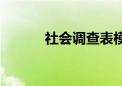 社会调查表模板（社会调查表）