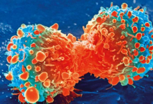 研究表明药物有助于重新编程巨噬细胞免疫细胞 抑制前列腺和膀胱肿瘤的生长