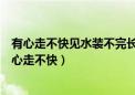 有心走不快见水装不完长草难收拾玉石就可参是什么字（有心走不快）