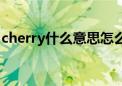 cherry什么意思怎么读音（cherry什么意思）