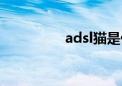 adsl猫是什么（adsl猫）