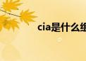 cia是什么组织（cia是什么）