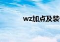 wz加点及装备（wz怎么加点）