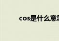 cos是什么意思（os是什么意思）