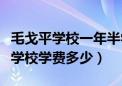 毛戈平学校一年半学下来需要多少钱（毛戈平学校学费多少）