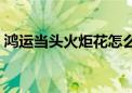 鸿运当头火炬花怎么养（火炬花的养殖方法）